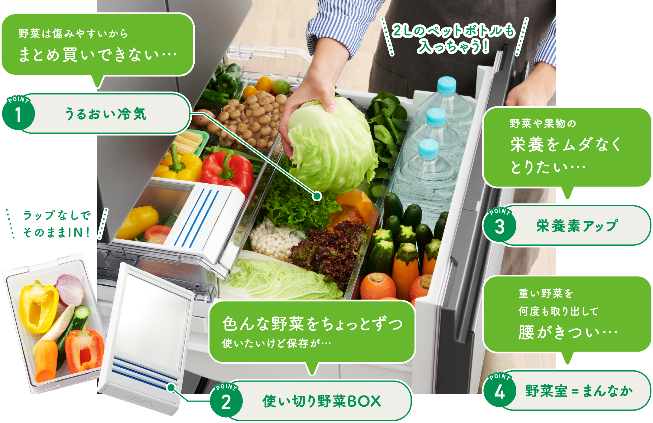 VEGETAの野菜室イメージ画像