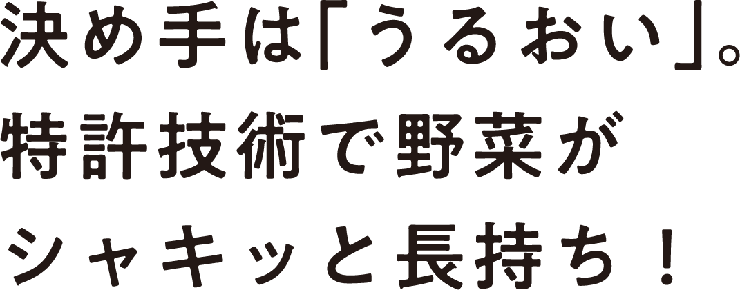 決め手は「うるおい」。​特許技術で野菜がシャキッと長持ち！​