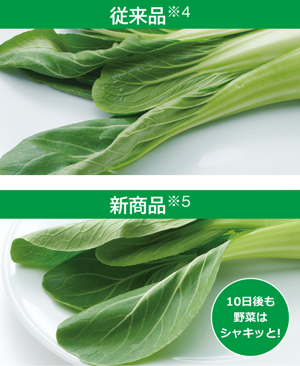 10日後も野菜はシャキッと！